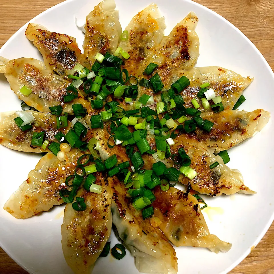 焼き餃子|ニワトコの杖さん