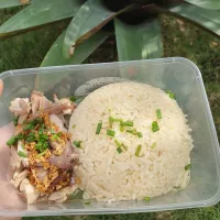 nasi hainan|Paulina Irawanさん