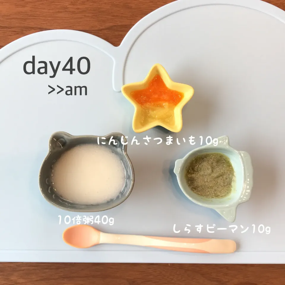 Snapdishの料理写真:離乳食初期|あーたさん