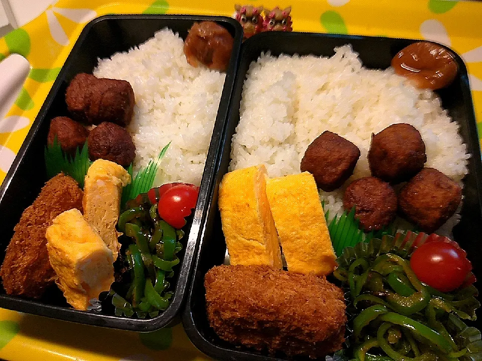 夫の弁当、息子の弁当|みどりさん