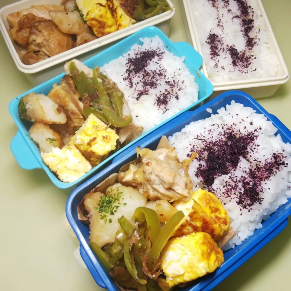 Snapdishの料理写真:6/15 家族弁当|けろよんさん