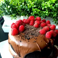 Chocolate Espresso cake|WholeLivingLargeさん