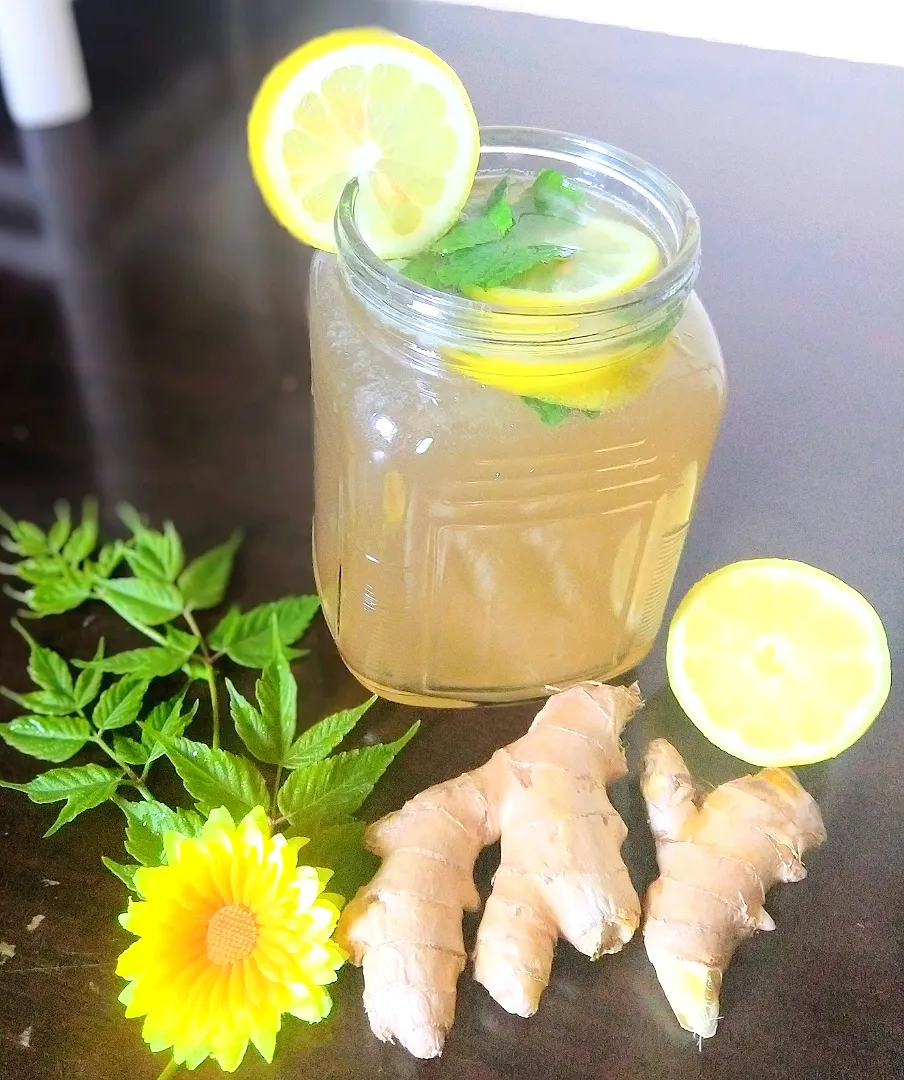 # Ginger syrup lemon ginger ale|nivedhasankar64@gmail.comさん