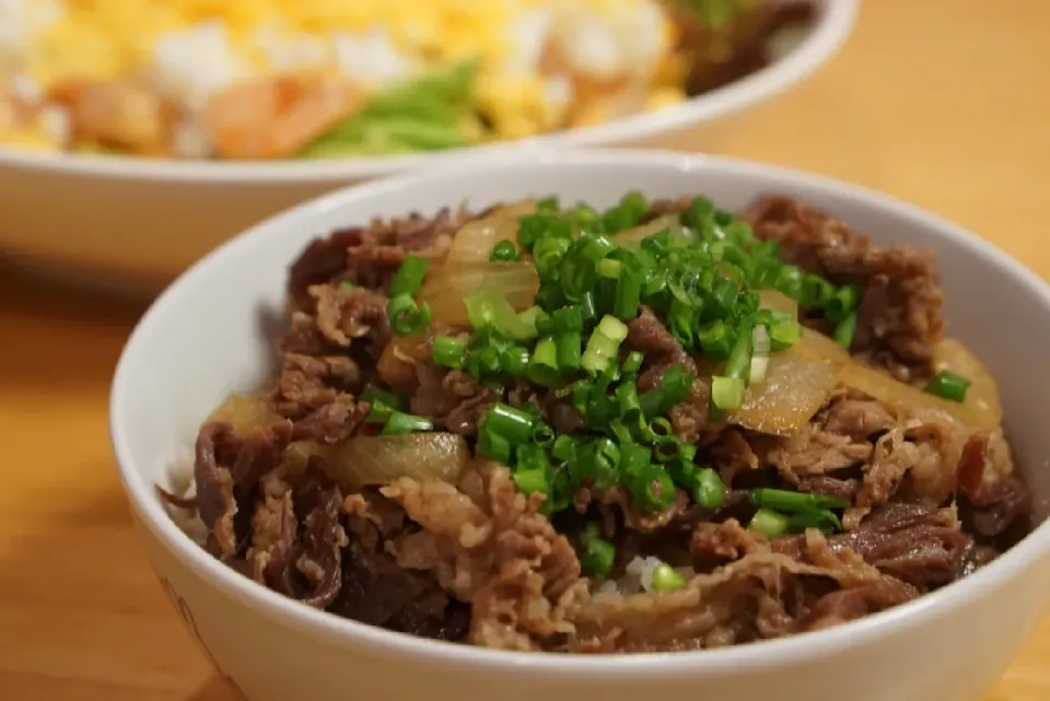 たまに食べたくなる牛丼|こたろーさん