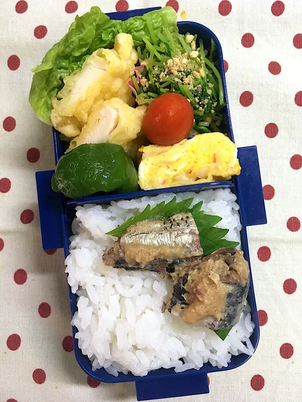 Snapdishの料理写真:6月16日　娘のみ弁当🍱|sakuramochiさん