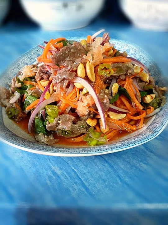 Lao carrot salad with beef 😋😋|oljoy08@gmail.comさん