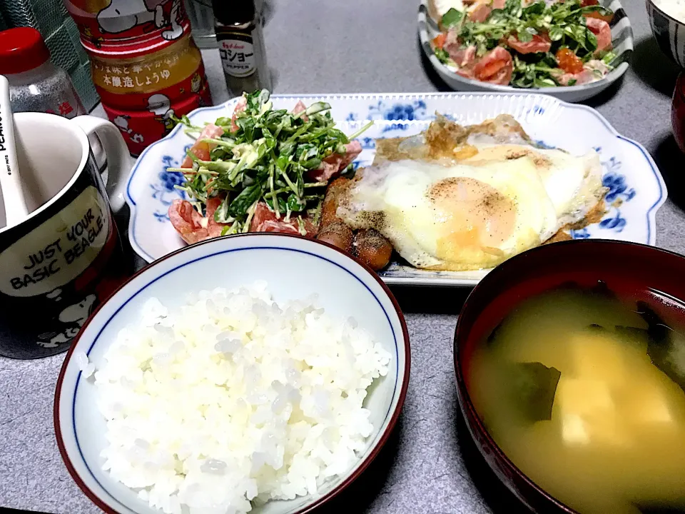 Snapdishの料理写真:#朝食   #昼飯|ms903さん