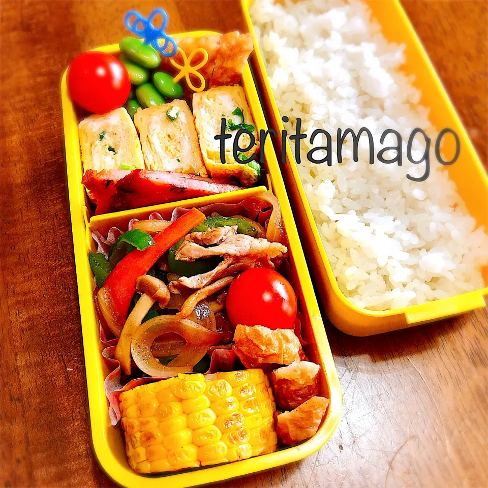 Snapdishの料理写真:お弁当|teritamagoさん