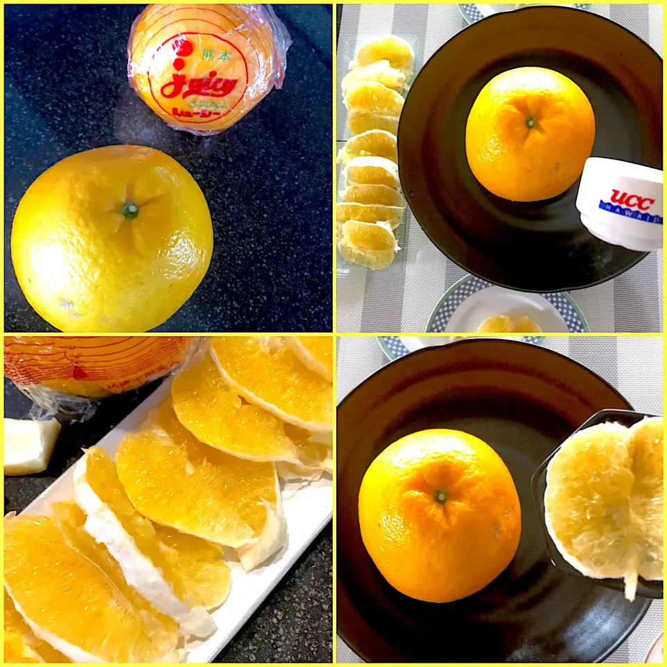 大きなサマーオレンジ🍊🧡🍊🧡|シュトママさん