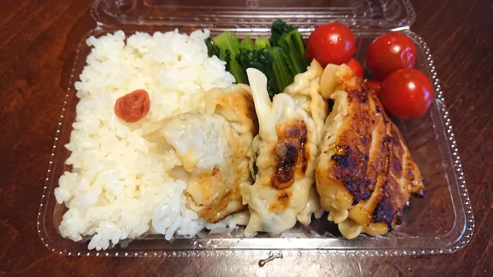 餃子弁当|りょーさん