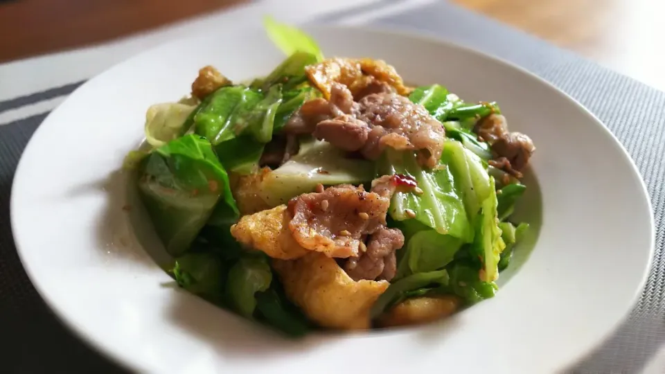 豚肉とｷｬﾍﾞﾂと油揚げの炒め物～
の昼ごはん✨|kaz(*･ω･)さん