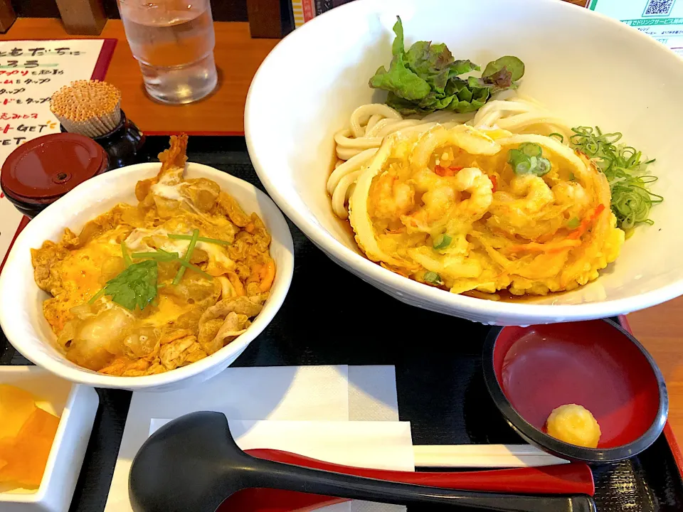 Snapdishの料理写真:かき揚げおろしうどん大盛、ミニ天とじ丼セット|buhizouさん