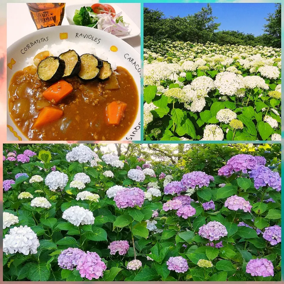 Snapdishの料理写真:トマトベースのカレー🍛(6/17)|海猫さん