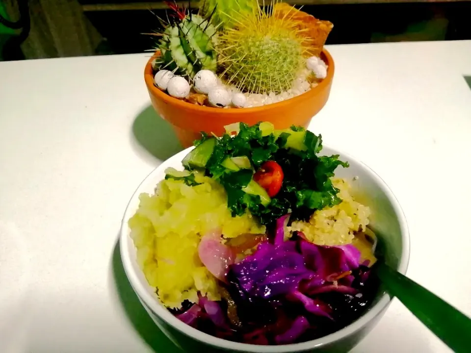 Red cabbage yum 🤤🤤🤤|Deeさん