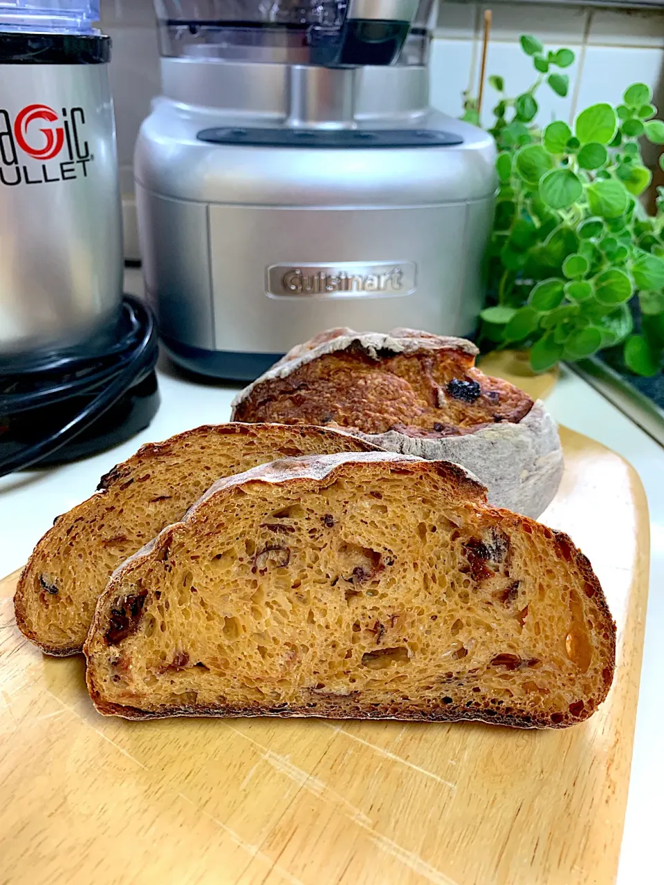 Snapdishの料理写真:Prune Oat & Rye Sourdough Loaf|gonbenさん