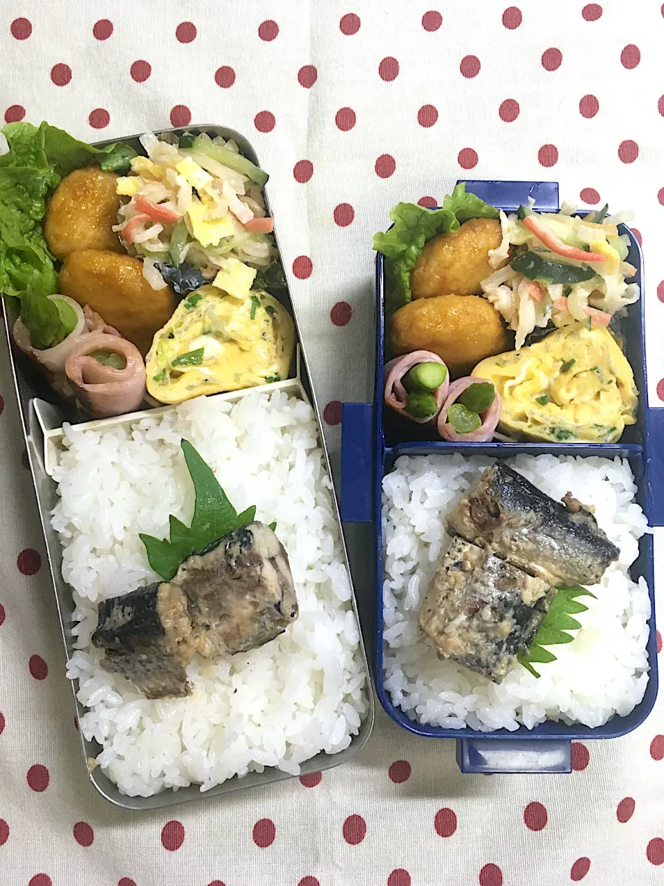 Snapdishの料理写真:6月18日　今日は大雨注意 弁当🍱|sakuramochiさん