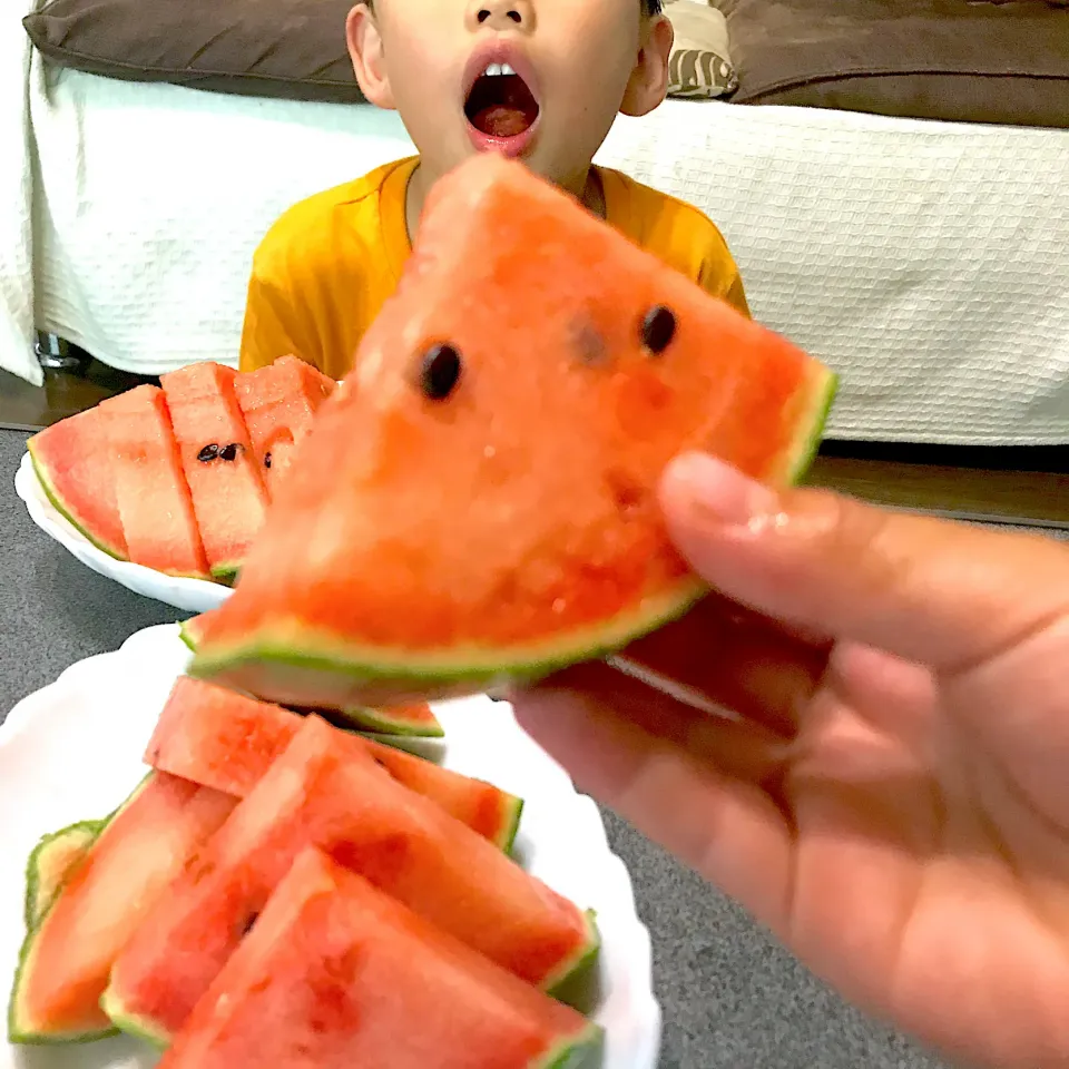 今年初のスイカ🍉孫ちゃん家バージョン|シュトママさん