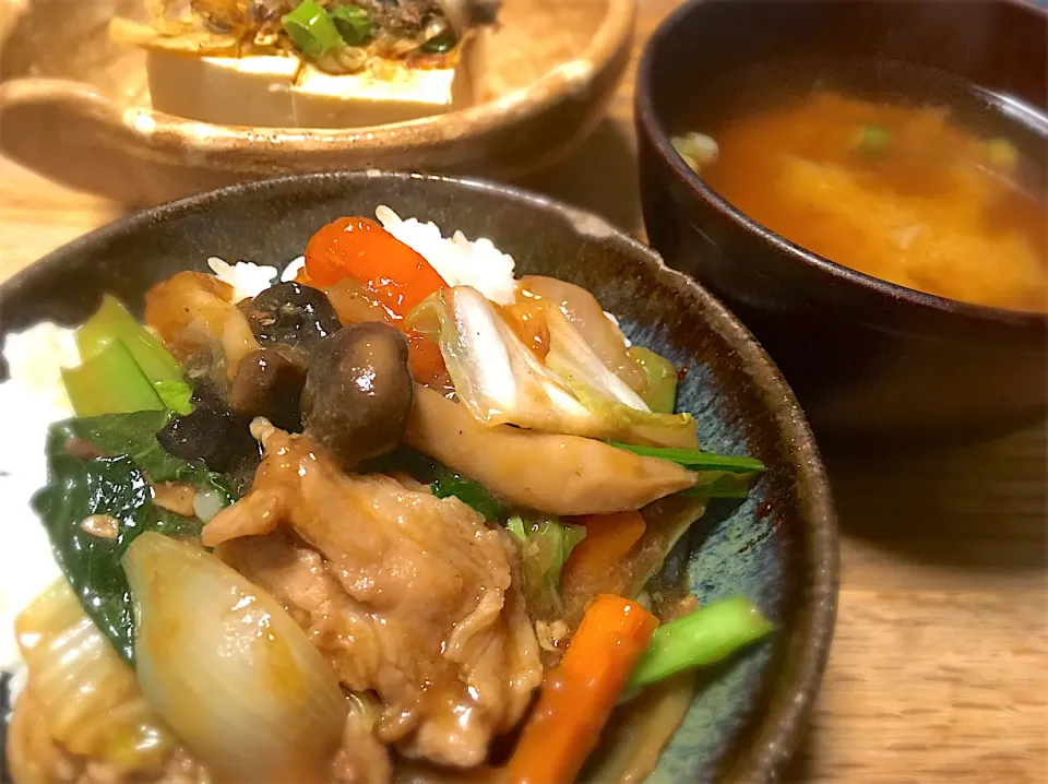 Snapdishの料理写真:発酵野菜たっぷり中華あんかけ丼|mioさん