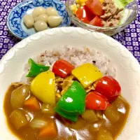 Snapdishの料理写真:彩りカレーとツナサラダ|ゆきりんさん