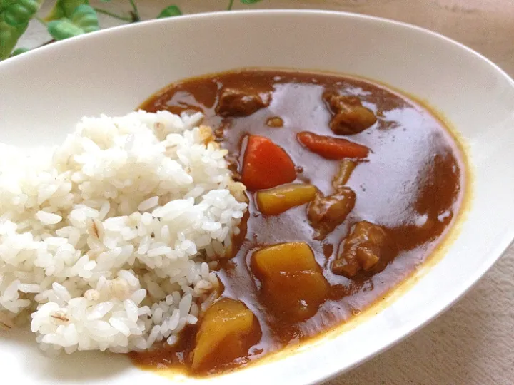 ✽とろける牛すじカレーライス🍛✽|＊抹茶＊さん