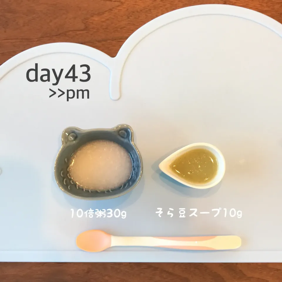 Snapdishの料理写真:離乳食初期|あーたさん