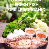 🎌Fresh fish grilled with Sea salt,  we serve with Thai seafood deep and prenut suases there are secret recepts of us !! and Fresh veggi,  noodle. very  zappp!!|ChanT@wanさん