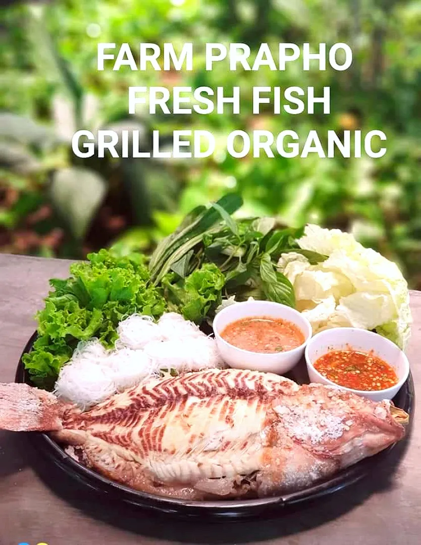 🎌Fresh fish grilled with Sea salt,  we serve with Thai seafood deep and prenut suases there are secret recepts of us !! and Fresh veggi,  noodle. very  zappp!!|ChanT@wanさん