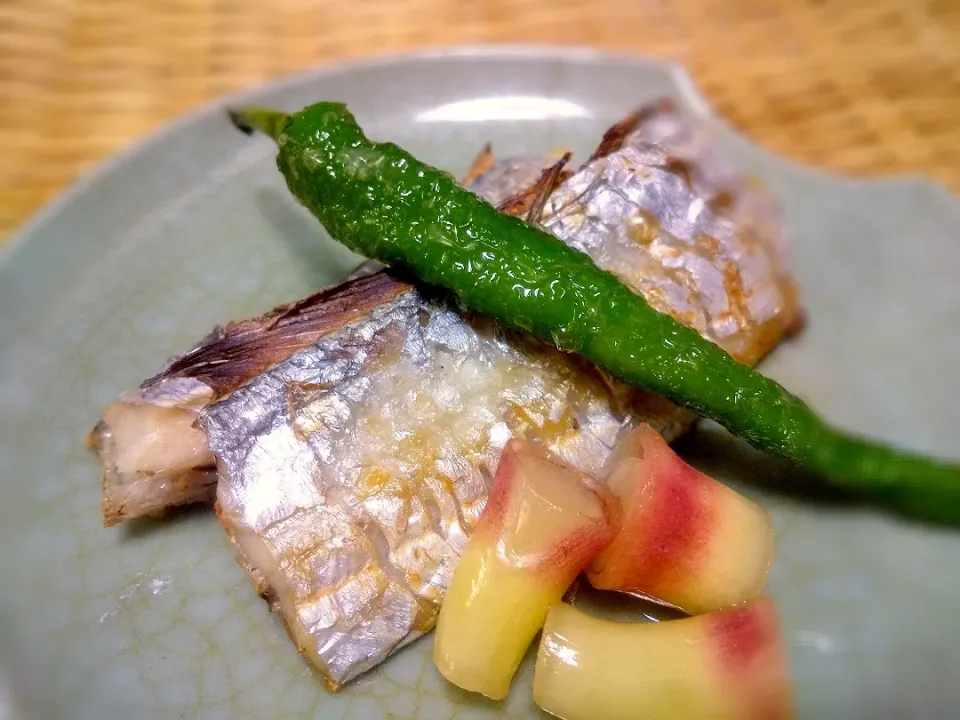 太刀魚の塩焼き|和泉の元気パパさん