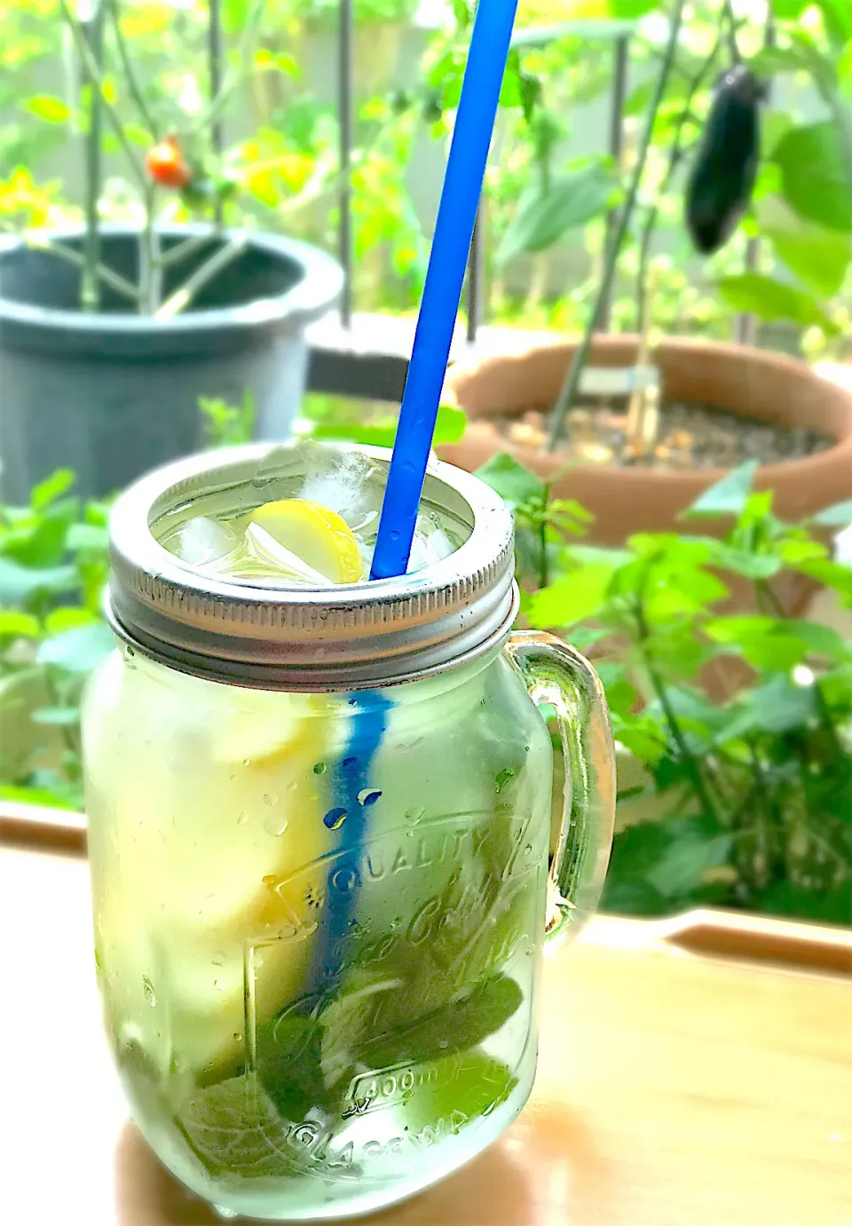 土曜日の昼下がり　ミント🌿レモン🍋水|シュトママさん