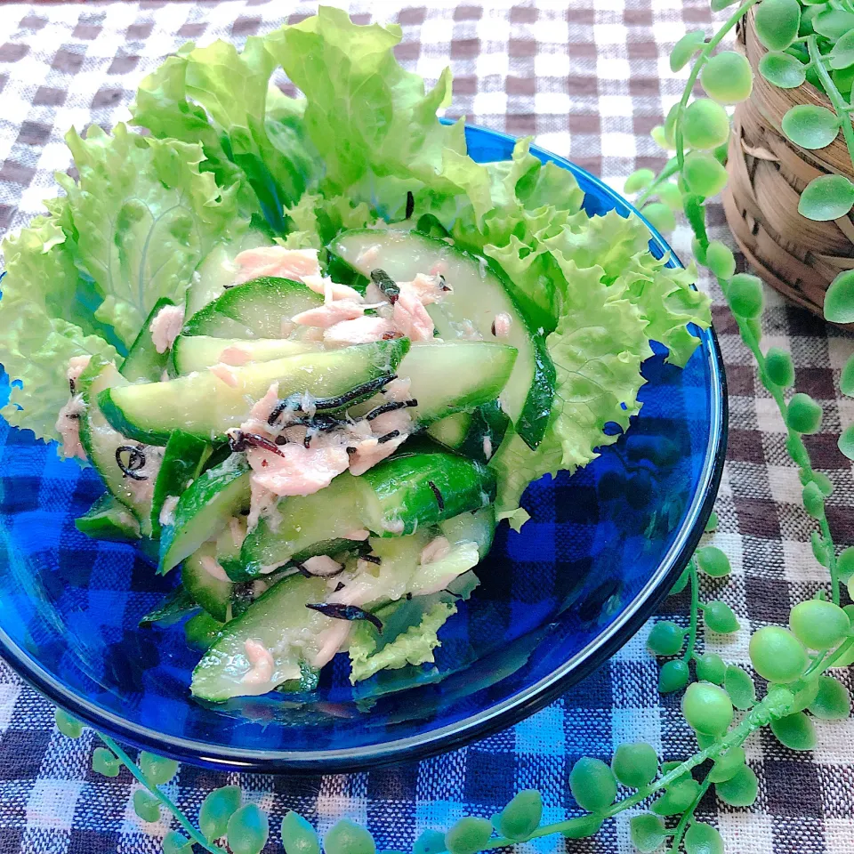 実家産きゅうりとツナとひじきのサラダ|ぁゃ🍃さん