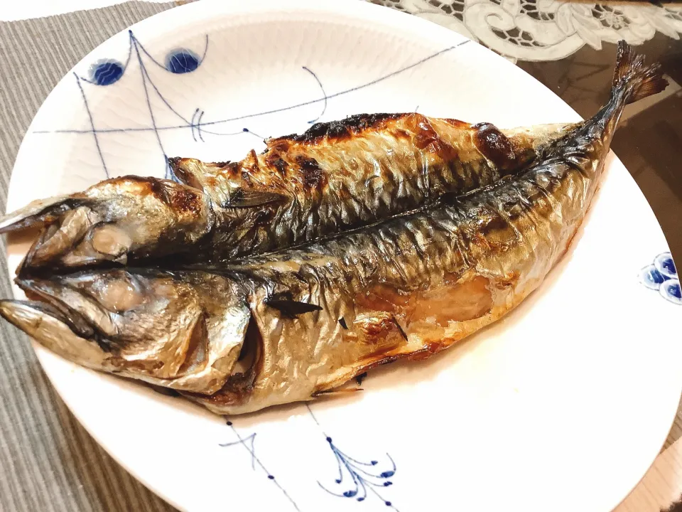 今宵は、サバ祭り🐟？👀（笑）|アライさんさん