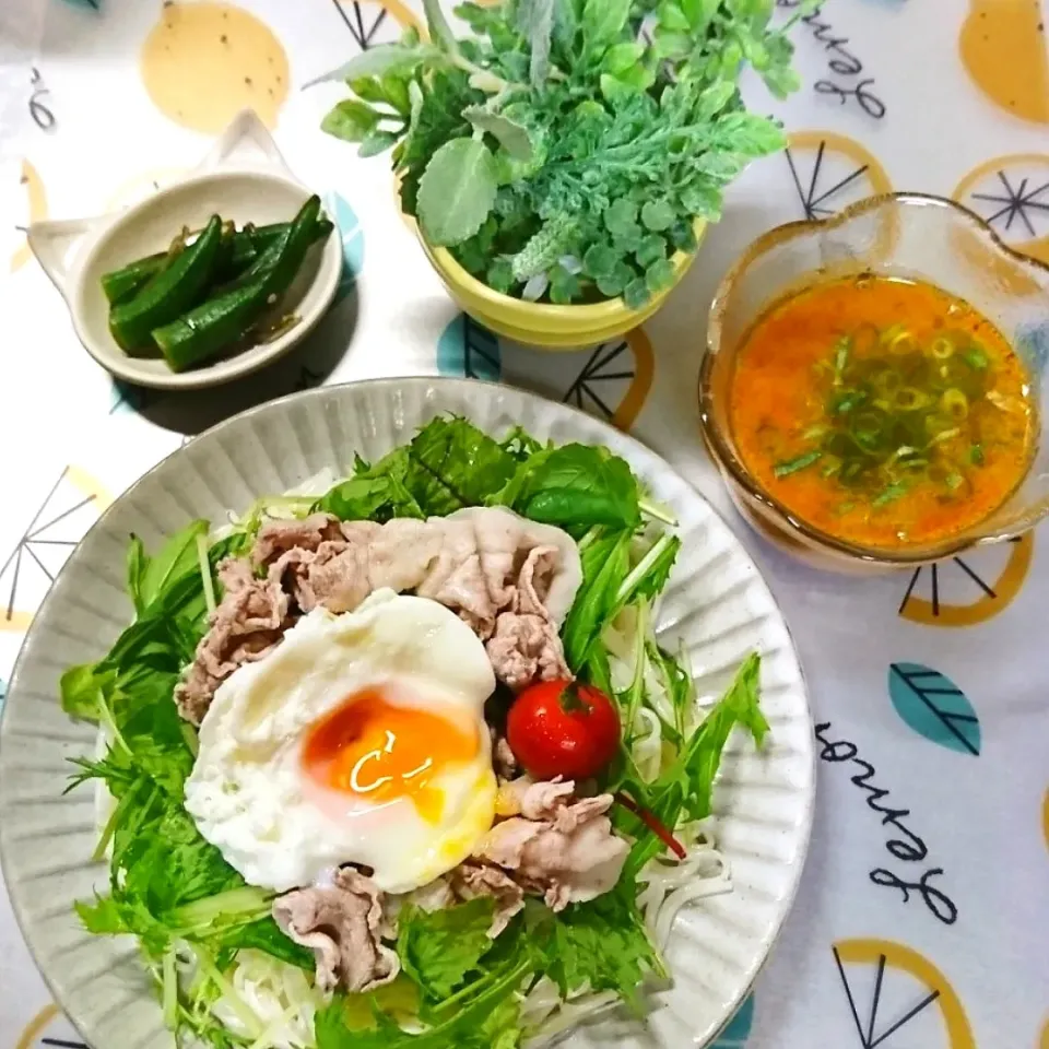 Snapdishの料理写真:豚しゃぶサラダカレー麺 😋|fumi ◡̈⋆さん