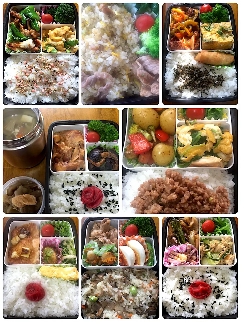 お弁当🍱毎日お疲れ様ですm(_ _)m|アリスさん