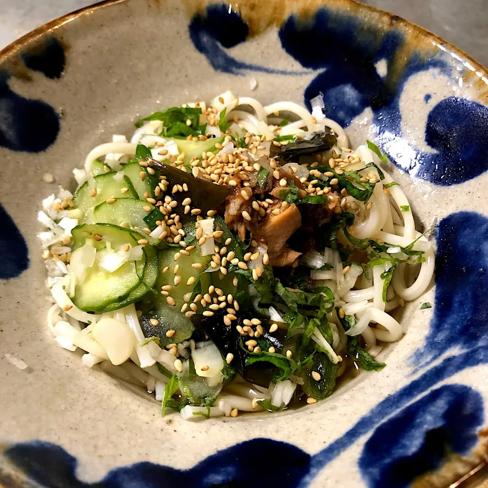 サバの旨煮、きゅうりとわかめの酢の物、大葉、白ネギ、ごまのぶっかけそうめん|nao子さん