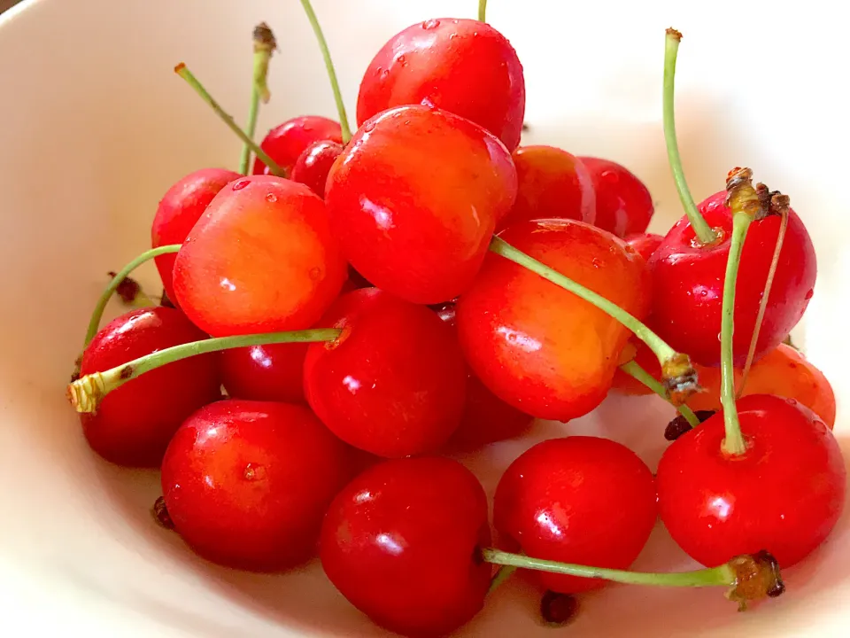 さくらんぼ🍒|とみぃさん