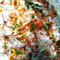 Snapdishの料理写真:biryani|aliさん