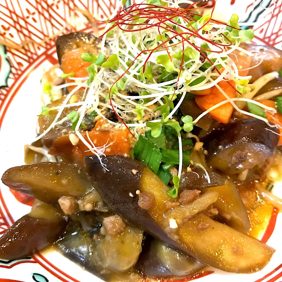 茄子、人参、大豆のミンチお肉の四川風炒め～✩°｡⋆⸜(* ॑꒳ ॑* )⸝|てるみさん