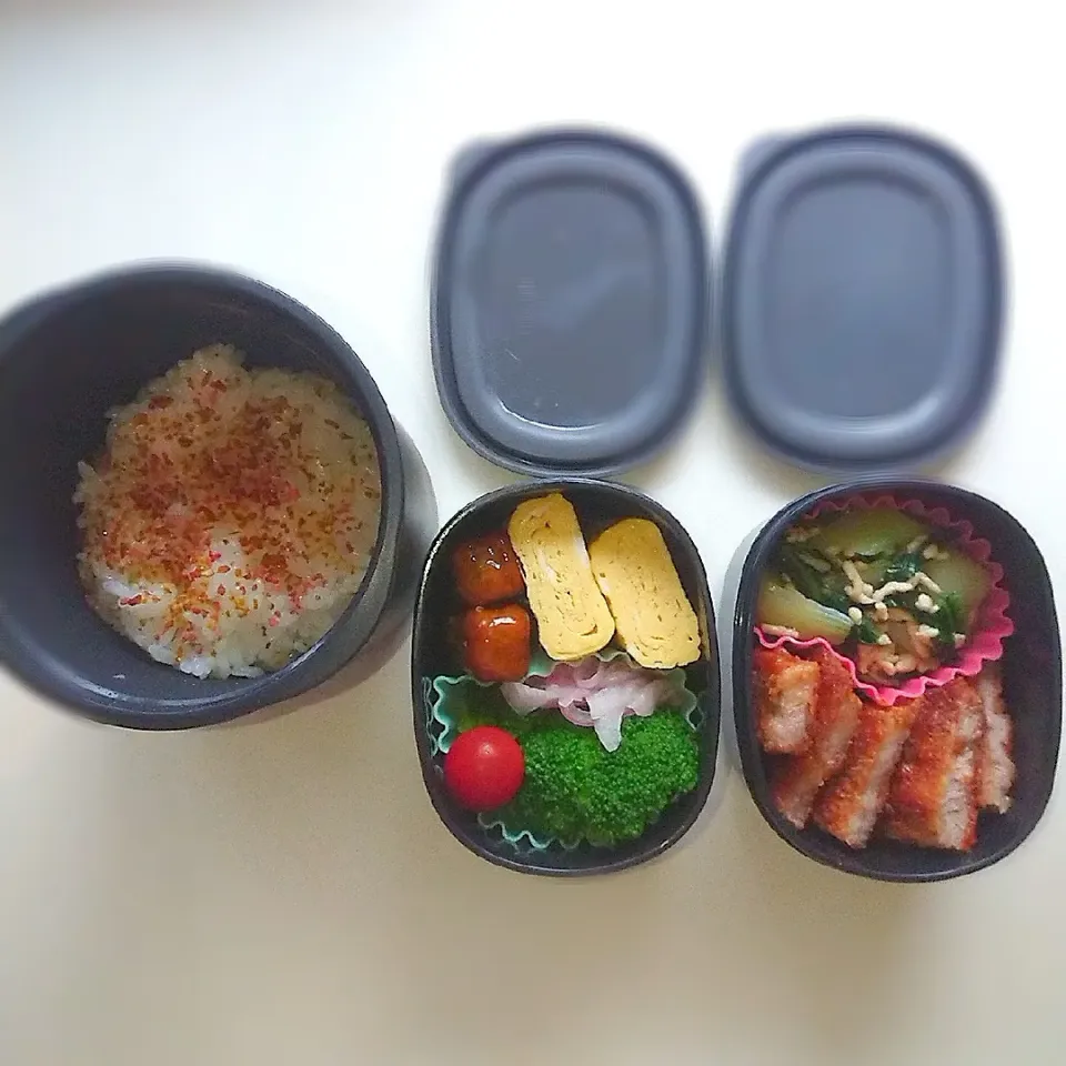 Snapdishの料理写真:夫 お弁当
ソースケチャップトンカツ、甘口だし巻き玉子、チンゲン菜と鶏挽き肉の炒めサッと煮、紫玉ねぎ酸っぱ|まめころさん