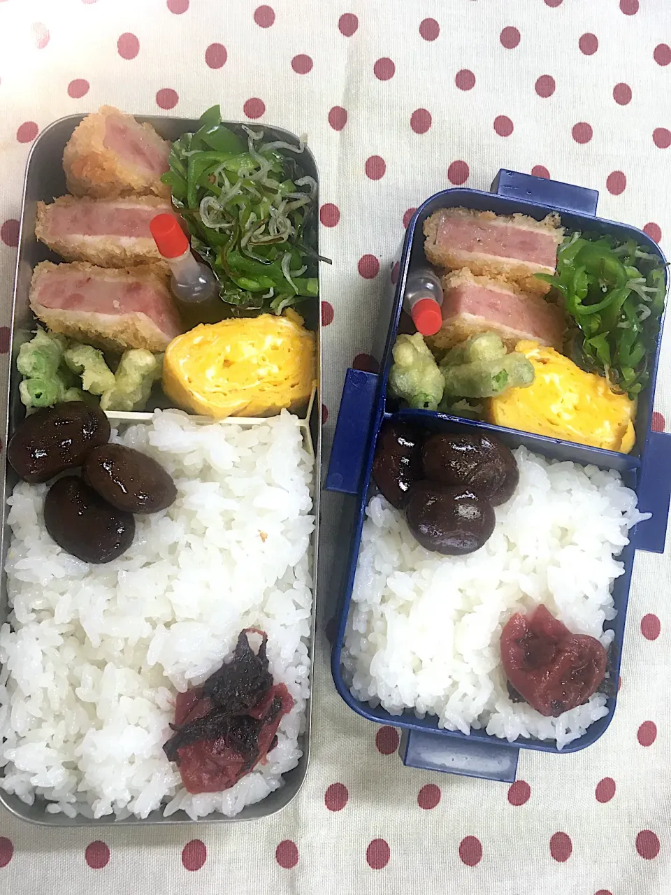 6月22日　週の始まり弁当🍱|sakuramochiさん