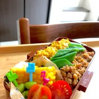 Snapdishの料理写真:鶏そぼろ弁当|minorinさん