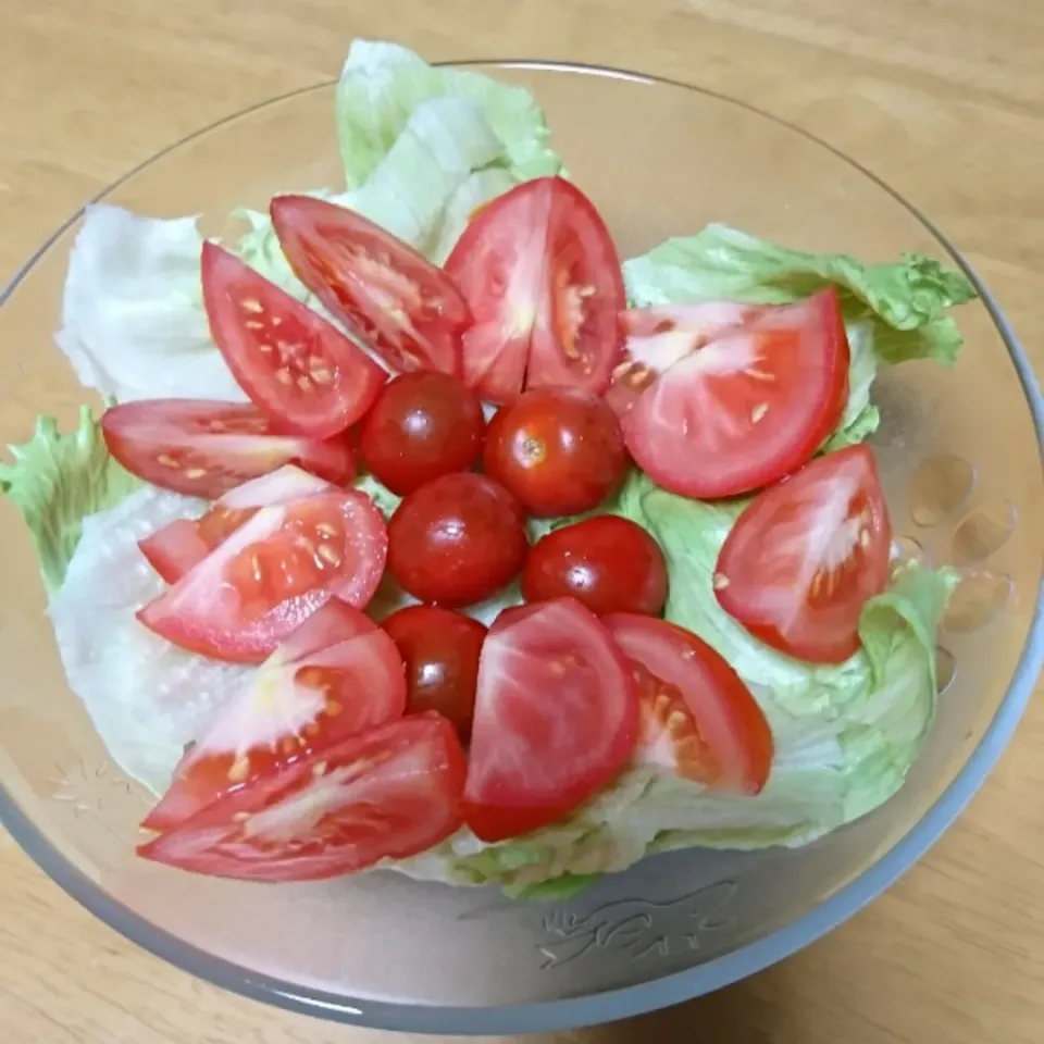 トマトとレタスのサラダ🍅|しまだ ちえこさん