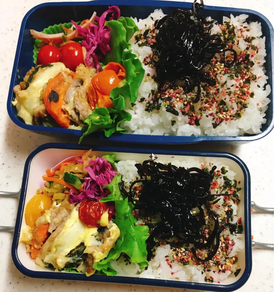 今日のお仕事＆学校弁当♪2020.6.23|ぐぅさん