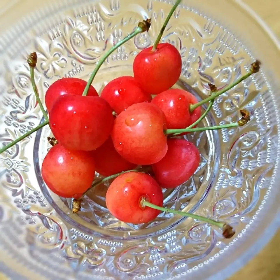 佐藤錦🍒|しまだ ちえこさん