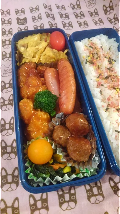 男子弁当|isekoさん