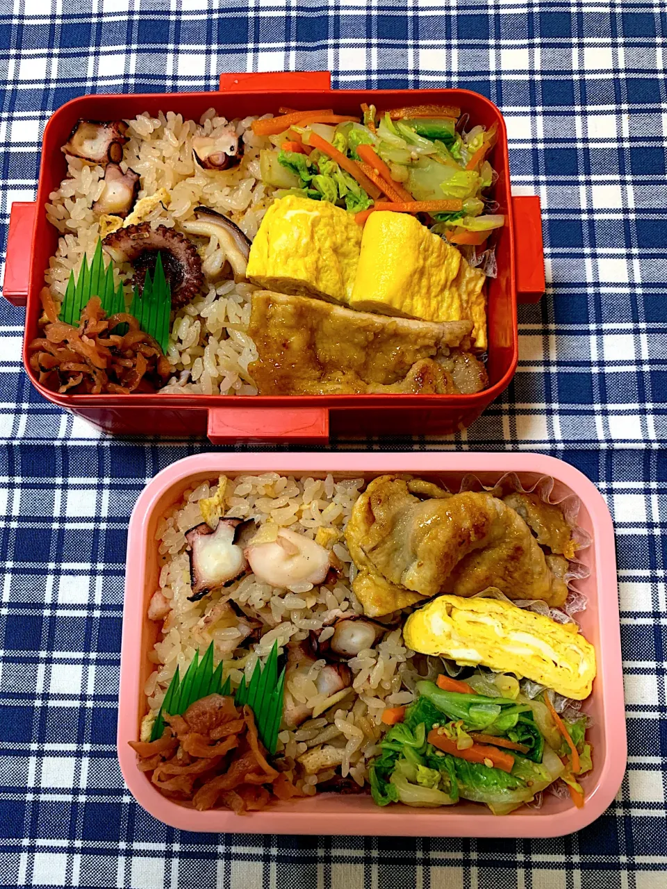 たこめし弁当🐙|kiusoudaiさん