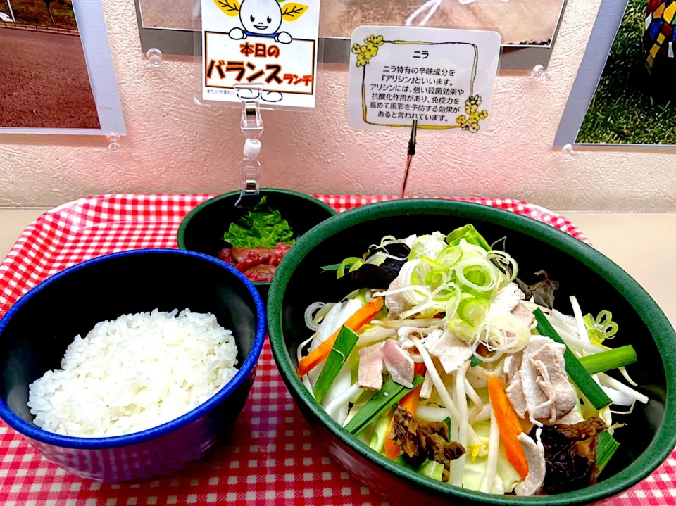 Snapdishの料理写真:野菜ラーメンライスセット|nyama1さん