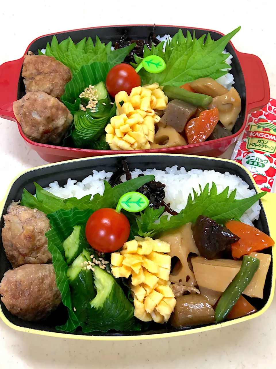 Snapdishの料理写真:筑前煮・ハンバーグ弁当|teteさん