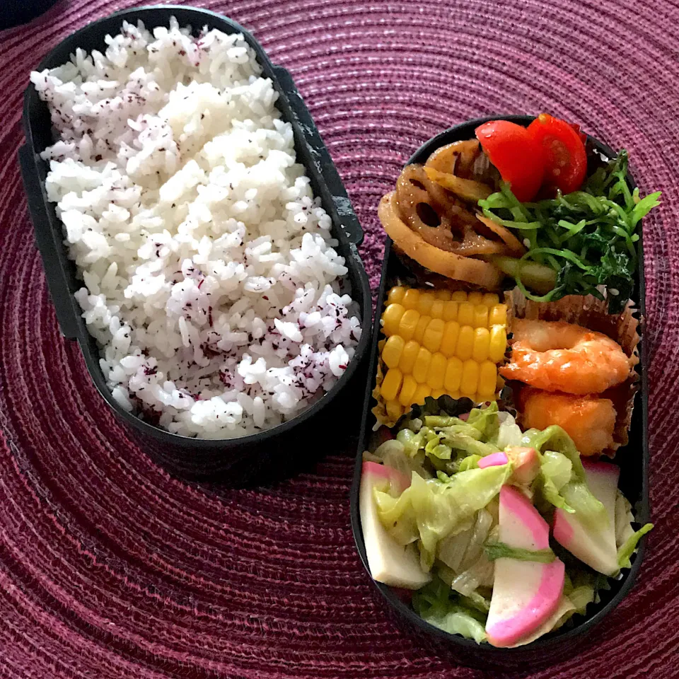 Snapdishの料理写真:今日のお弁当🍱|mokoさん