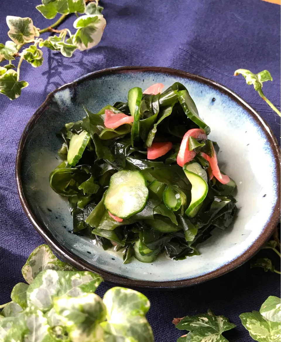 🍃さっぱり😊胡瓜🥒とワカメのお酢の物🥒|Hollyさん