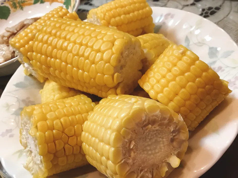 とうもろこし🌽さんが美味しくなってきました😋|アライさんさん